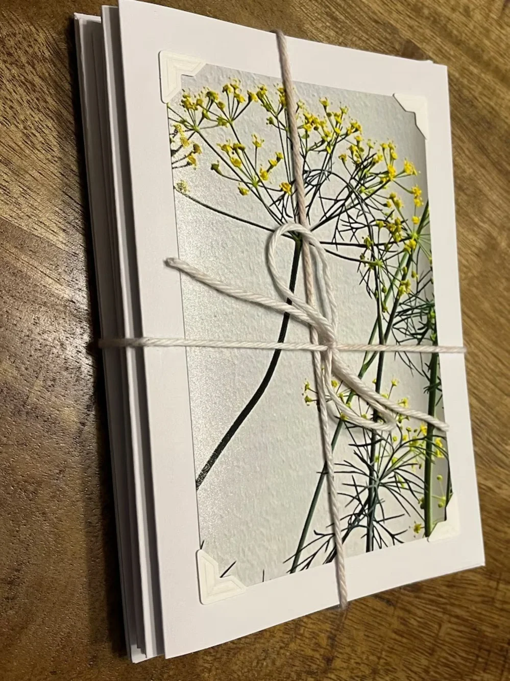 Botanical Photo Greeting Cards - Set of 4